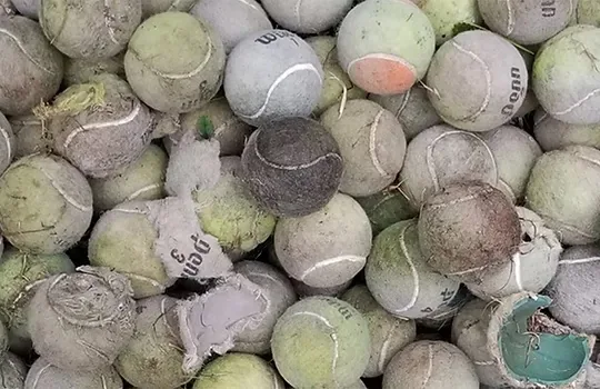 A large pile of worn, dirty tennis balls collected for recycling.